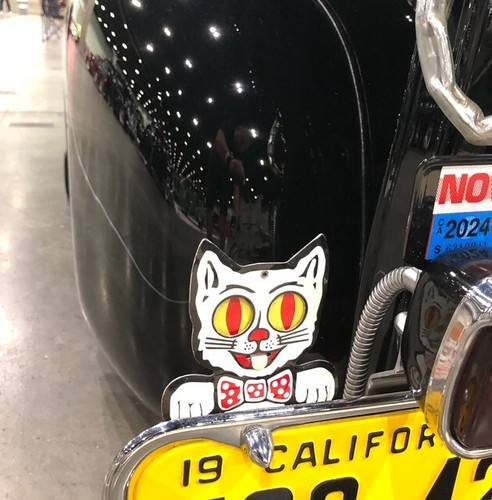 Kitty cat license - kitty, plate