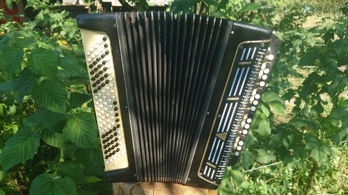 Vintage chromatic button