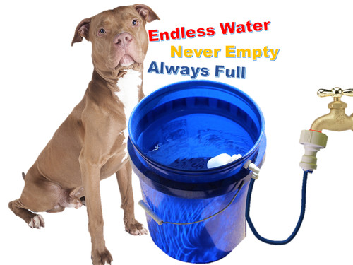 Build your own automatic dog - automatic,