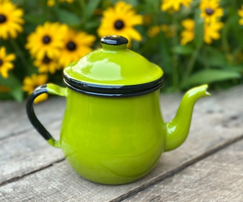 Vintage green enamel black - green,