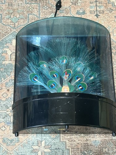 Vintage 1980s fiber optic - 1980s,