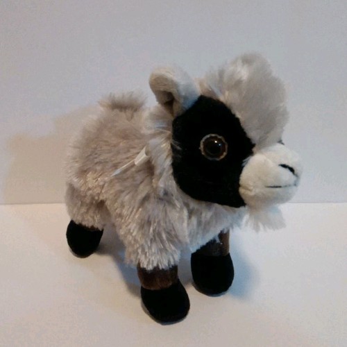 Euc frankford baby goat - ,