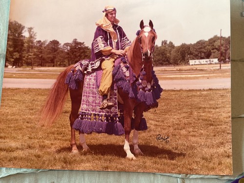 Vintage arabian native - vintage,