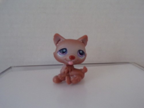 Littlest pet - littlest,