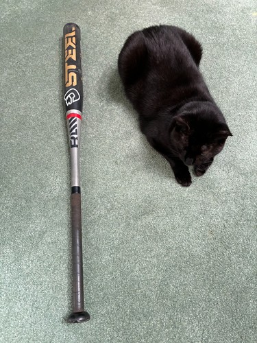 Demarini raw steel - demarini,