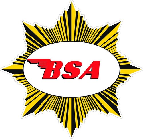 873 bsa gold - 3.75", star
