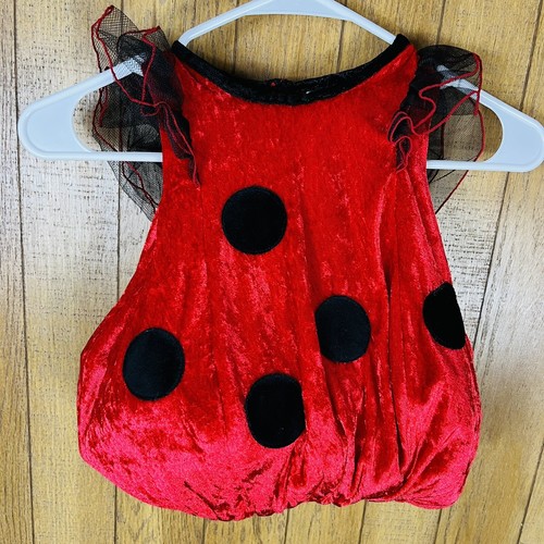 Lady bug costume dress - bug, for
