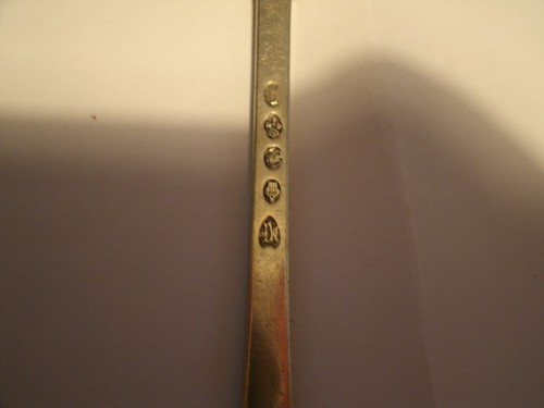 Rare antique marrow - rare, scoop