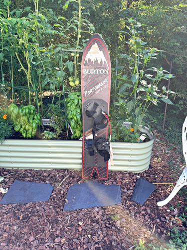 Burton performer elite 150 - performer,