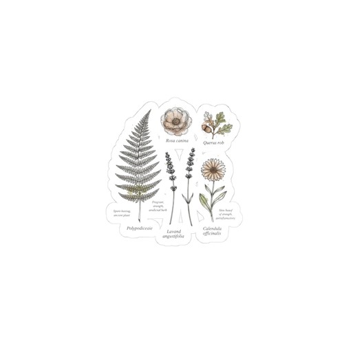 Botanical anatomy sticker - anatomy, |