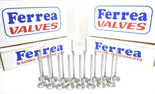 Ferrea 5000 series - 5000, std