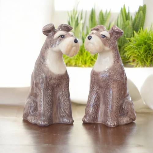 Set salt pepper - set, shaker
