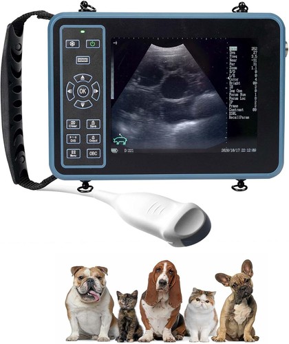 Veterinary ultrasound machine - veterinary,
