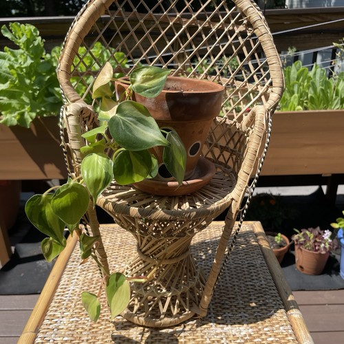 Vintage mini wicker - wicker, rattan