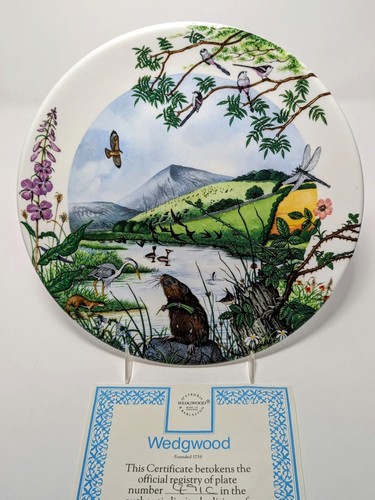 Wedgwood bone china - bone,
