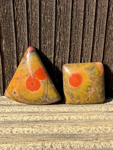 Morgan hill poppy jasper - morgan,