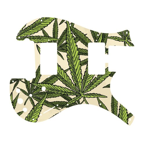 Pickguard for parker dual - for,