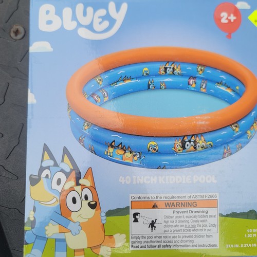 Bluey kiddie pool inch - kiddie,