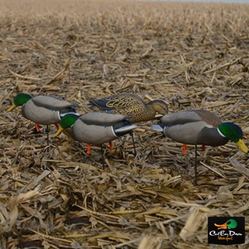 Avery greenhead gear ghg - avery,