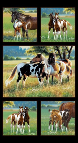 Pasture buddies horse x - buddies,