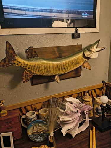 Muskellunge fiberglass - 32",