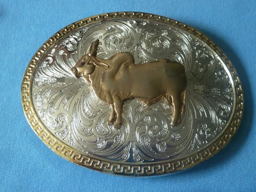 Boer afrikaner african - afrikaner, nguni