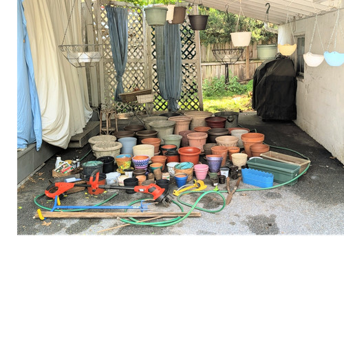 Assorted outdoor plant - outdoor, pots