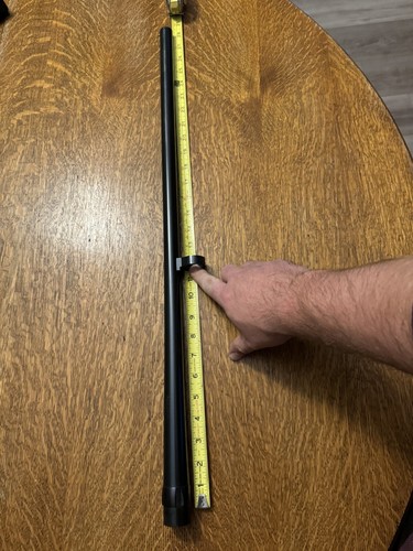 Winchester 1200 plain - winchester,