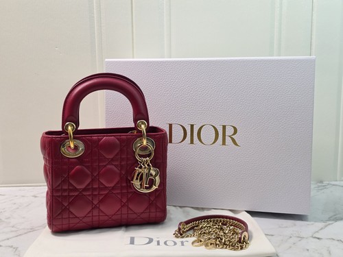 Authentic dior mini - dior,