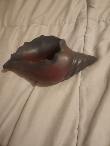 Singed shell - singed,