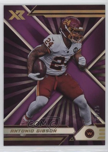 2021 panini purple 25 - 2021, xr