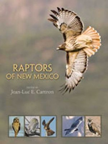 Raptors new mexico - raptors,