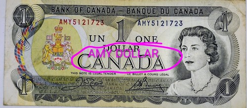 Amy dollar 1973 canadian - dollar., $1