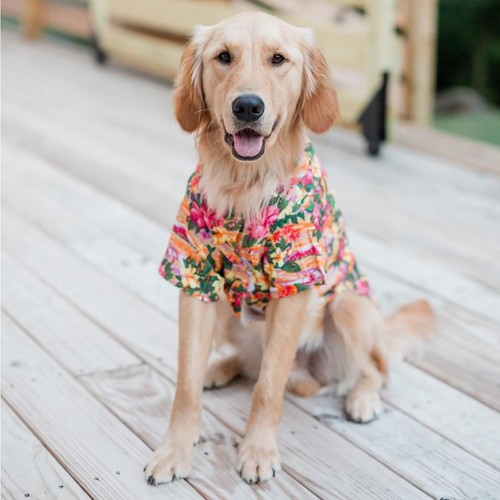 Dog camp shirt sunset hibiscus - sunset,