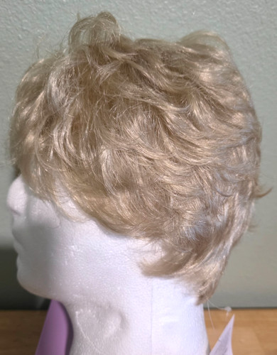 Paula young wig - young, celebrity