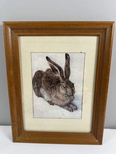 Vintage albrecht durer - albrecht,