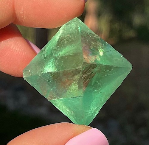 Fluorite octahedron gem jungle - fluorite,