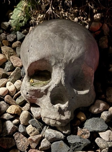 Garden statuary cement - statuary,