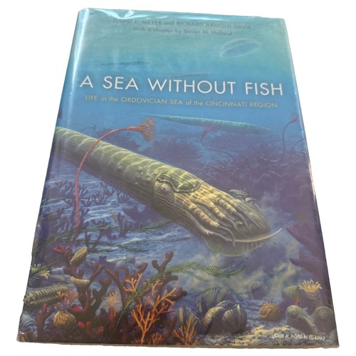 Sea without fish - fish:, in