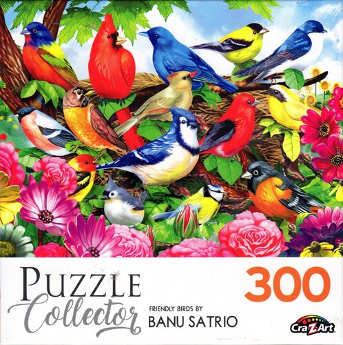 Puzzle collector 300 piece - collector,