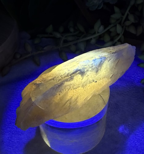 Crystal 61g reactive - crystal,