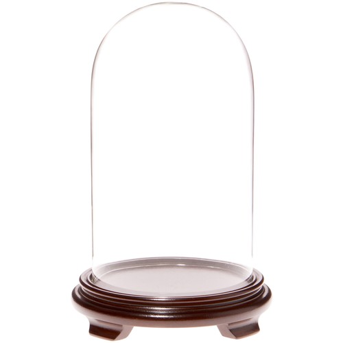 Plymor 10 glass - x, 10"