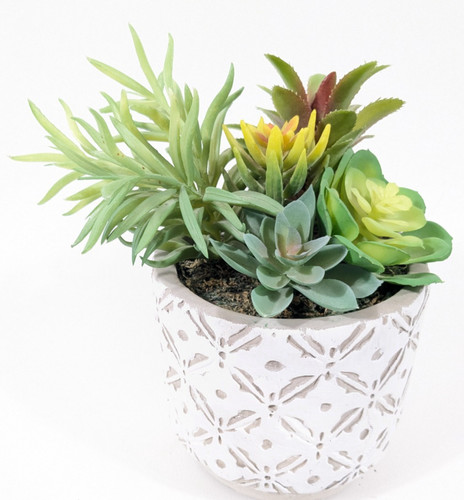 Faux fake succulent - fake, potted