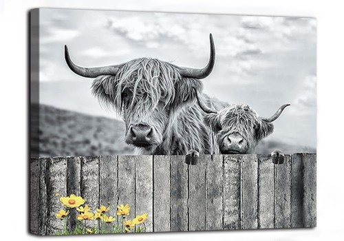 Highland cow wall - wall, art