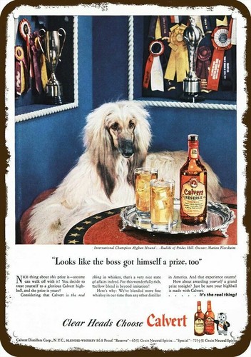1946 afghan hound dog - 1946,