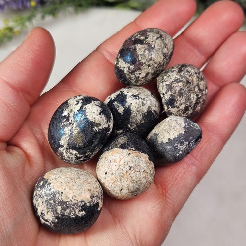 Covellite pyrite specimen - covellite,