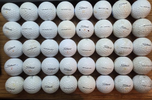 Special today dozen - , +