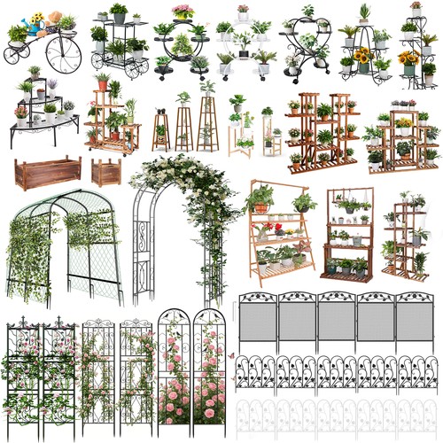 Indoor outdoor corner plant - indoor,