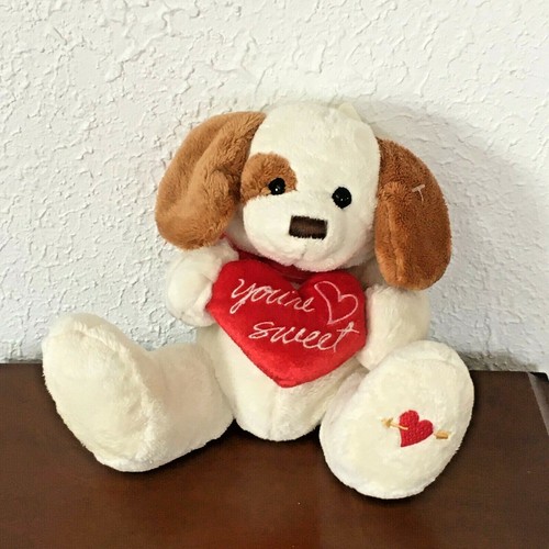 Cute little puppy wants new - puppy, a