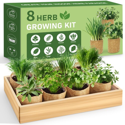 Luojibie herb indoor garden - indoor,